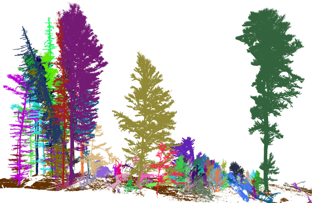 Point cloud view placeholder