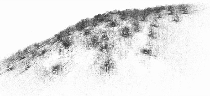 Tree segmentation placeholder